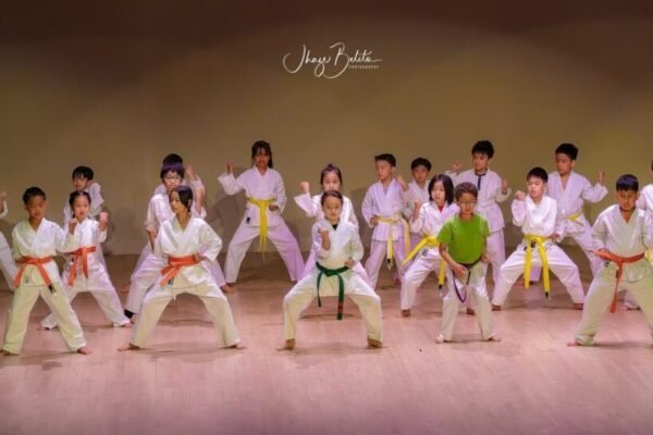 Karate for kids cdn montreal